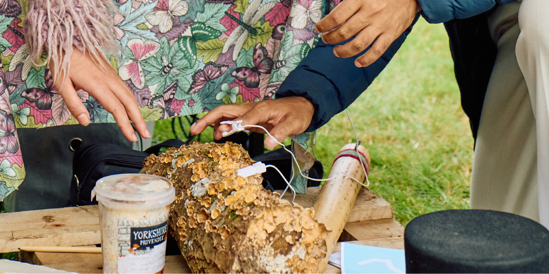 Email Newsletter Images 1 